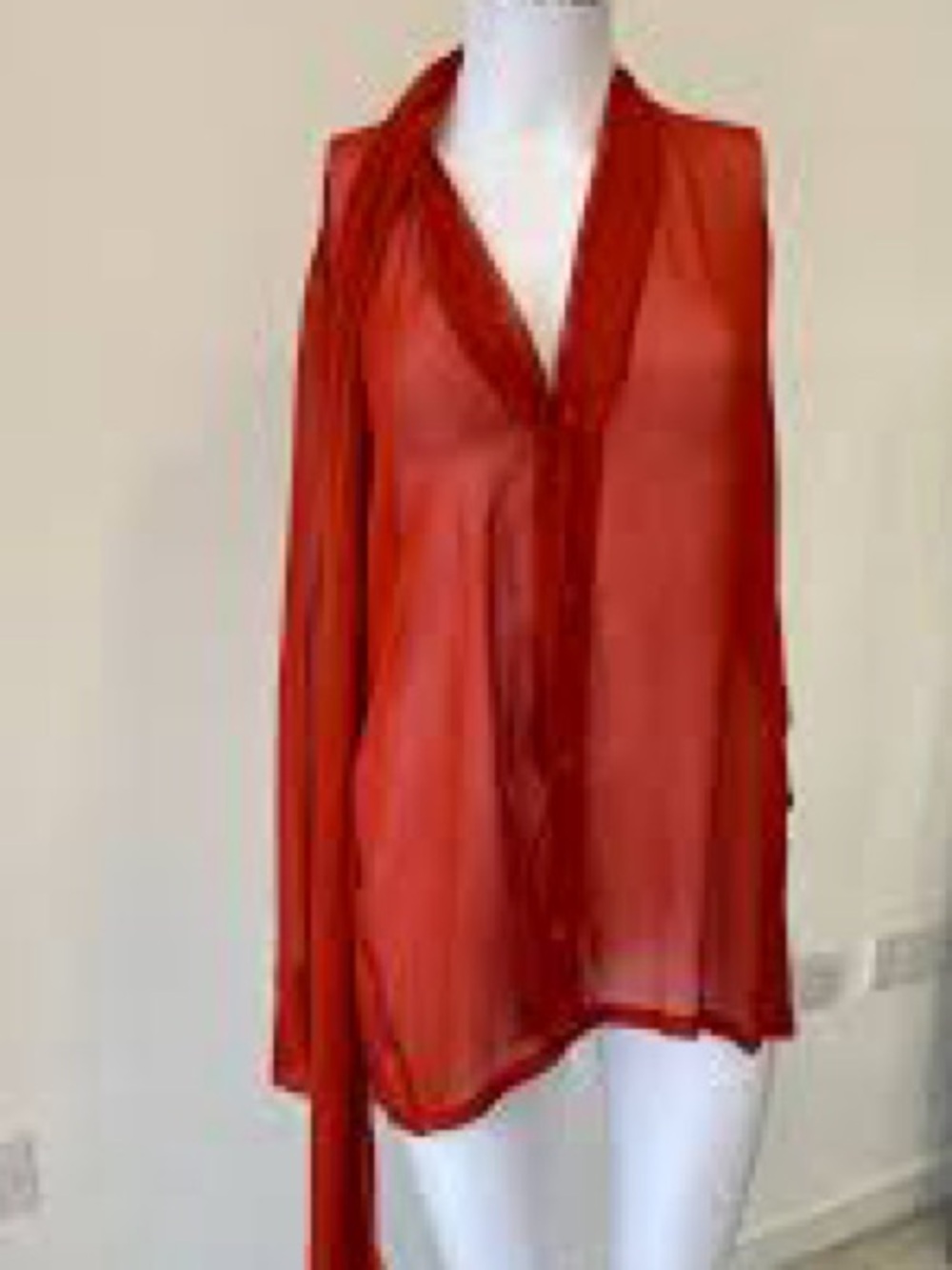 Zara Sheer Button-Front Blouse